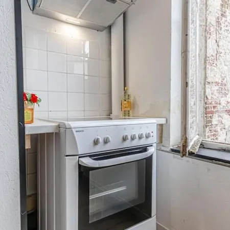 Lovely With View At Vibrant Ghent, Breezy Balcony Appartement